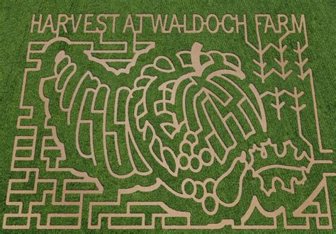 Fall Fun: Pumpkin Patch & Corn Maze | Explore Minnesota