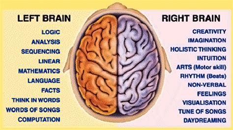 Discovering Something New -- ongoing learning: The left and right ...