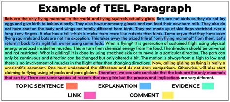 Essay Body Paragraph Structure Teel – Telegraph