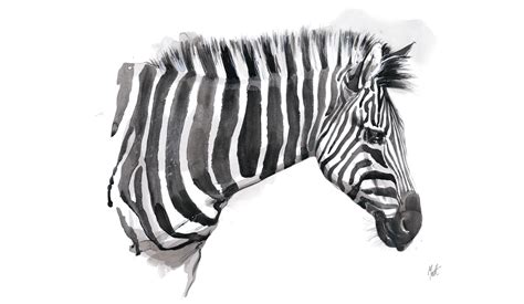 Black And White Animals Drawings