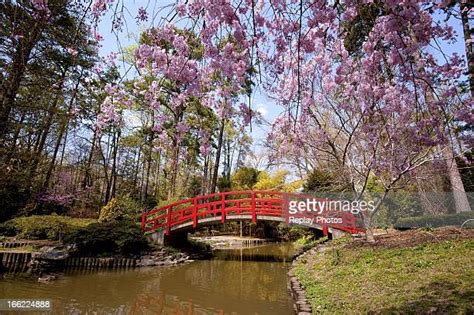 Duke University Gardens Photos and Premium High Res Pictures - Getty Images