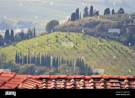 tuscany landscape with house roofs Stock Photo - Alamy