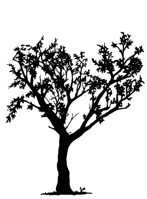 Free Black And White Tree Drawing, Download Free Black And White Tree ...