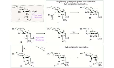 Proposed mechanism of side reaction during the Lattrell-Dax... | Download Scientific Diagram