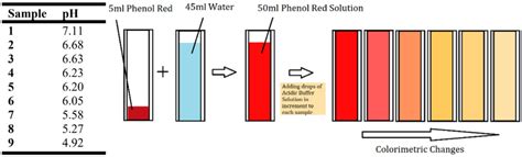 Phenol red samples preparation and characteristics. | Download ...