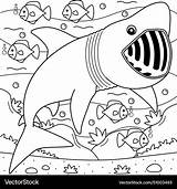 Basking shark coloring Page For Kids Royalty Free Vector sketch template