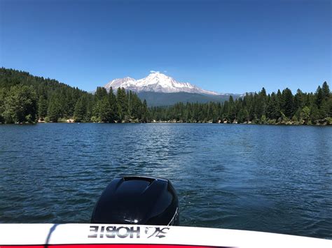 Lake Siskiyou Camp Resort | The Dyrt