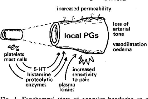 Figure 1 from Relevance of Prostaglandins in Migraine | Semantic Scholar