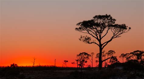 A_Coastal Sunset – Fort Worth Camera Club