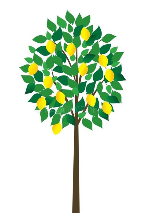 Trees Clipart - lemon-tree-clipart - Classroom Clipart - Clip Art Library