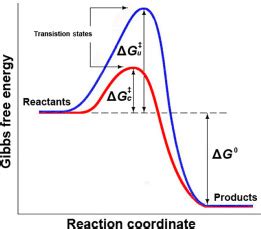 thermodynamics - Which Gibbs' free energy is an activation energy diagram referring to ...