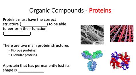 Solved Organic Compounds - Proteins Proteins must have the | Chegg.com