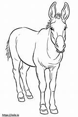 Donkey Cute coloring page sketch template
