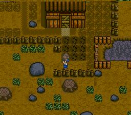 Harvest Moon Screenshots for SNES - MobyGames