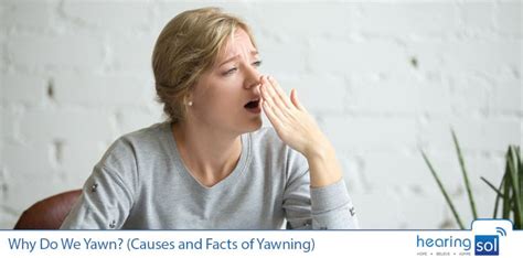 Why Do We Yawn? All Causes And Best Facts of Yawning