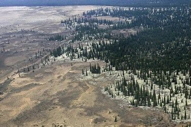 Great Kobuk Sand Dunes - Kobuk Valley National Park (U.S. National Park ...