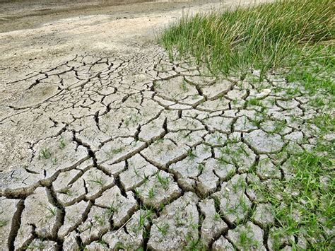 Flash droughts set to increase in India, finds study