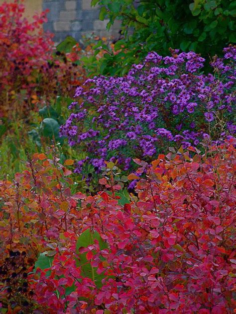 Rainbow Garden Photograph by Photography by Tiwago