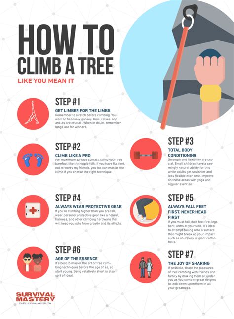 How To Climb A Tree: Different Methods for A Demanding Activity