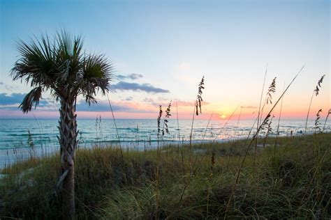 30A Townhomes : Seagrove Beach, FL