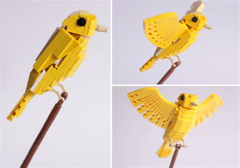 Tropical LEGO Birds by Thomas Poulsom