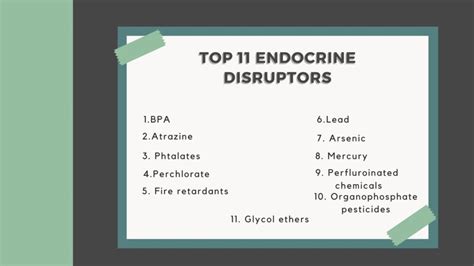 Top Endocrine Disruptors and How to Avoid Them - Natural Health Rising