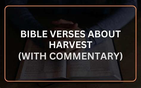 20+ Important Bible Verses About Harvest (With Commentary) - Scripture Savvy