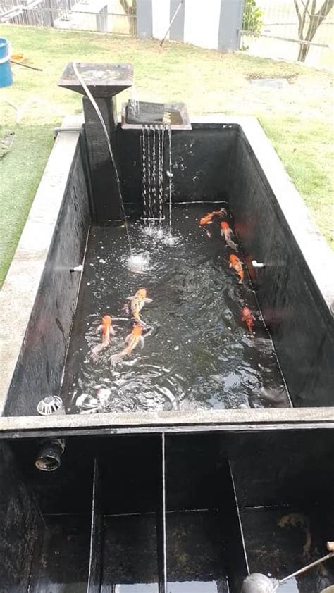 Fish Pond Cleaning Service Kajang | Fish Pond Maintenance Service Selangor, Malaysia