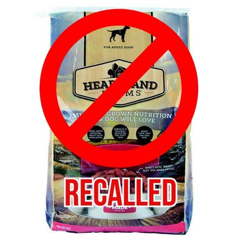 Warning! These 10 Dog Foods Have Been Recalled (2020) - PetPress