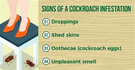 The Ultimate Guide to Cockroach Prevention in Singapore