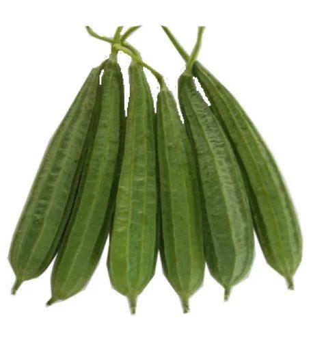 Luffa Acutangula, Packaging: Carton at Rs 75/kilogram in Surat | ID: 20897000491