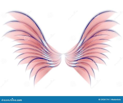 Angel Bird Or Fairy Wings Pink Stock Illustration - Illustration of ...