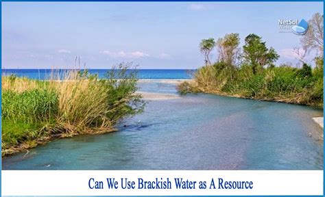 Can we use brackish water as a resource