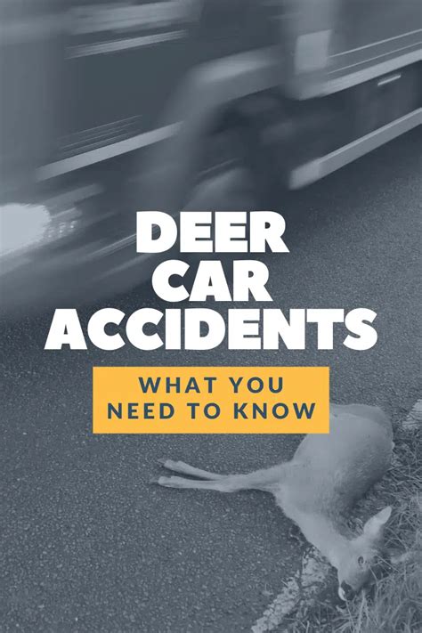 Michigan Deer Car Accidents: Are They Covered By Insurance?