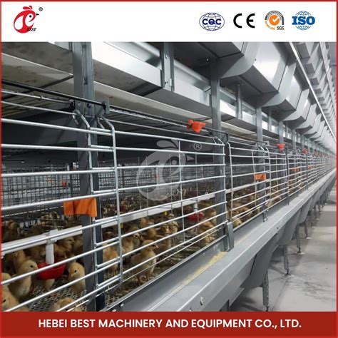 Bestchickencage H Frame Broiler Cages China Automatic Egg Chicken Cage Suppliers Easy Control ...