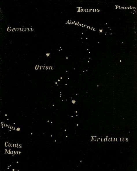 What Are Starseeds & The 10 Types — OUI, WE