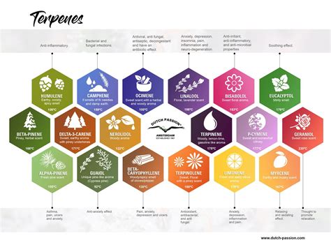 Terpenes Chart