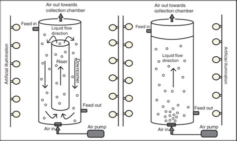 Schematic diagrams for (a) cylindrical airlift reactor and (b) bubble ...