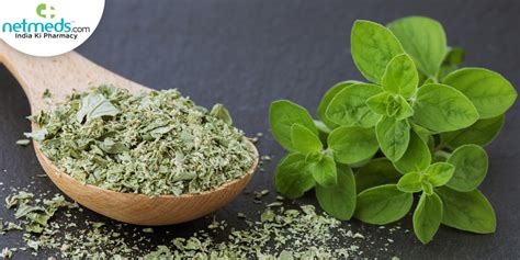 Marjoram: Health Benefits, Uses, Recipe And Side Effects Of This Aromatic Herb