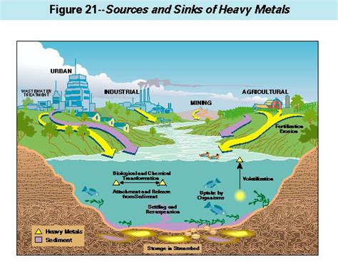 Environmental Issues: Heavy Metals