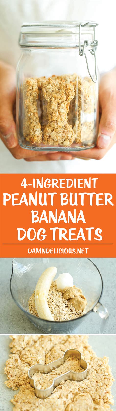 Peanut Butter Banana Dog Treats - Damn Delicious