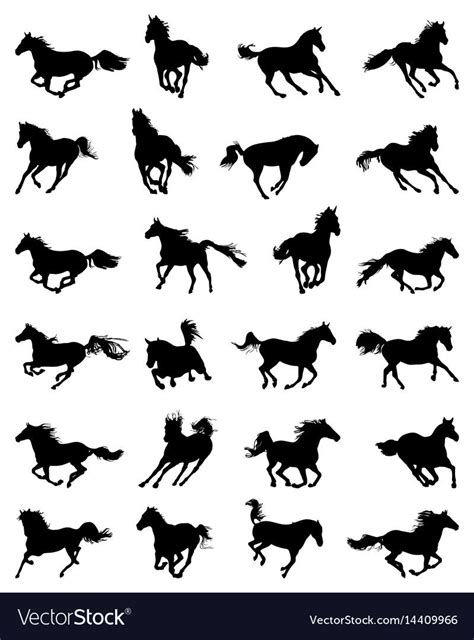 Silhouettes of galloping horses vector image on VectorStock | Horse ...