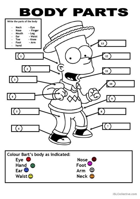 body parts: English ESL worksheets pdf & doc