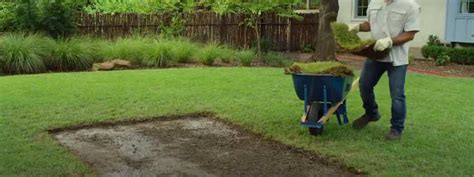 Where To Buy Sod Grass In Your Area & How To Install Them?