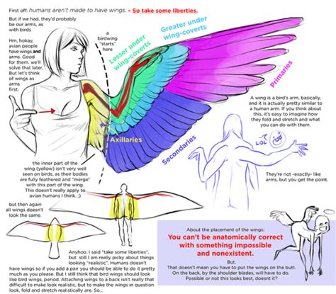 Helpful Harrie | Wings drawing, Wing anatomy, Drawing reference