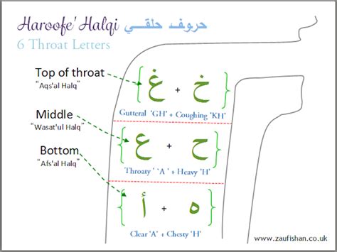 Tajweed Lessons - 6 Throat Letters (Haroofe' Halqi) - Zaufishan