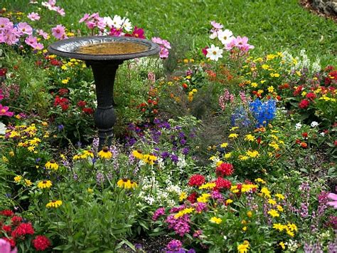 How to Build a Butterfly Garden- A Cultivated Nest