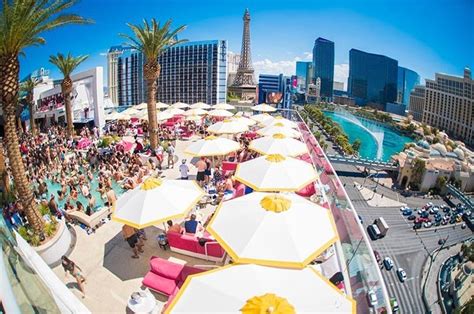 Drai's Beachclub - The Official Pool Party Guide [2024]