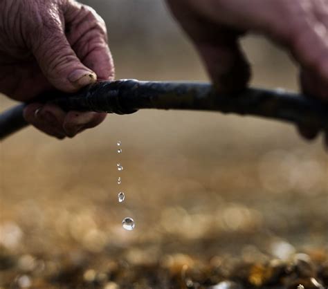 The Economic Impacts of Drought on US Agriculture