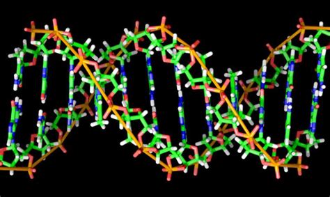 DNA barcodes that reliably work: A game-changer for biomedical research